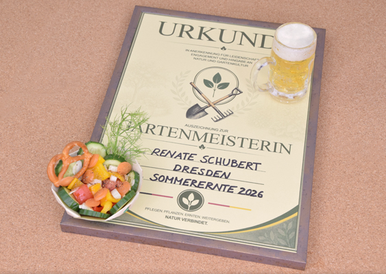 Urkunde Gartenmeisterin mit Bier und Gemüseplatte – sommerliche Auszeichnung für Hobbygärtnerinnen und Selbstversorger Die liebevoll gestaltete Szene erinnert auf den ersten Blick an einen gemütlichen Sommerabend im Schrebergarten – irgendwo zwischen Kräuterbeet, Gartenlaube und dem Duft frisch geernteter Tomaten. Im Mittelpunkt des Bildes liegt eine stilvolle Urkunde mit der Aufschrift „Gartenmeisterin“, die auf einer rustikalen Holzplatte präsentiert wird. Bereits die Farbgestaltung vermittelt eine warme, natürliche Atmosphäre: sanfte Creme- und Grüntöne treffen auf dekorative Ornamente und verleihen der Auszeichnung einen nostalgischen Charakter, der an traditionelle Gartenbauvereine und alte Ehrenurkunden erinnert. Im oberen Bereich der Urkunde befindet sich ein botanisch inspiriertes Emblem mit gekreuzten Gartengeräten und einem jungen Pflänzchen – ein Symbol für Fleiß, Naturverbundenheit und die Freude am Gärtnern. Die feinen Verzierungen im Hintergrund wirken dezent und elegant, ohne überladen zu sein. Besonders harmonisch fügt sich der Name „Renate Schubert“ in das Gesamtbild ein. Zusammen mit dem Ort „Dresden“ und der „Sommerernte 2026“ entsteht der Eindruck einer persönlichen Ehrung für viele Stunden harter, aber erfüllender Gartenarbeit. Die Urkunde liegt nicht einfach nur auf dem Tisch – sie wurde bewusst in Szene gesetzt. Rechts oben steht ein kleines Glas Bier mit goldgelber Farbe und feiner Schaumkrone. Es vermittelt das Gefühl eines wohlverdienten Feierabends nach einem langen Tag im Garten. Vielleicht wurde gerade das Beet gegossen, Unkraut gezupft oder die erste Zucchini des Jahres geerntet. Das Bier steht sinnbildlich für Entspannung, Geselligkeit und die kleinen Glücksmomente, die das Gärtnern mit sich bringt. Links unten befindet sich eine Schale mit frischem Gemüse und einem Laugengebäck. Die bunten Paprikastücke, Gurken, Karotten und Kräuter verleihen dem Bild Lebendigkeit und unterstreichen die Botschaft der Selbstversorgung. Besonders der frische Dill sorgt für einen natürlichen, beinahe sommerlichen Akzent. Die Kombination aus Brotzeit, Gemüse und Urkunde vermittelt das Gefühl eines einfachen, aber erfüllten Lebens – fernab von Hektik, Fast Food und Großstadtstress. Der Hintergrund in warmer Korkoptik rundet die gesamte Komposition angenehm ab und lässt die Szene fast wie eine Einladung wirken: zurück zur Natur, zurück zu echten Lebensmitteln und zurück zu einem Hobby, das Geduld, Wissen und Hingabe erfordert. Gerade Frauen zwischen 35 und 65 Jahren dürften sich in dieser Bildwelt wiederfinden – sei es als leidenschaftliche Hobbygärtnerin, stolze Schrebergartenbesitzerin oder einfach als Mensch, der Freude an Blumen, Gemüse und kleinen Auszeiten im Grünen hat. Die im Bild gezeigte Urkunde kann übrigens kostenlos als PDF-Vorlage auf gws2.de heruntergeladen werden – inklusive verschiedener Designs für Gartenmeister und Gartenmeisterinnen. Damit eignet sie sich wunderbar als humorvolle, aber zugleich wertschätzende Auszeichnung für Freunde, Familienmitglieder oder Vereinskollegen mit grünem Daumen. Urheberin: Veronika Helga Vetter Linz Oberösterreich